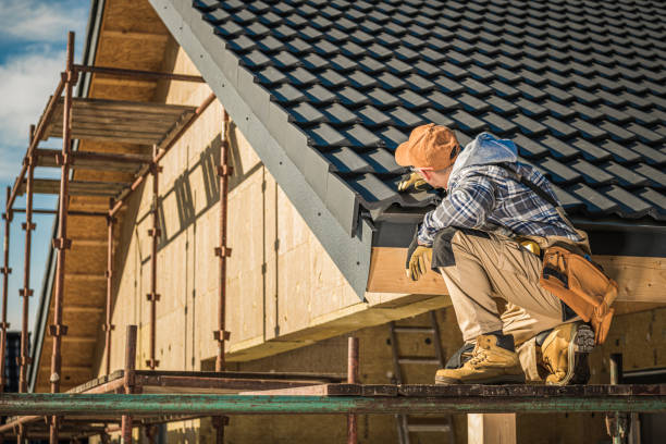 Best Roof Moss and Algae Removal  in Culpeper, VA