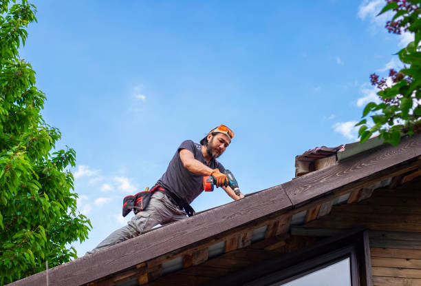Best Roofing for New Construction  in Culpeper, VA